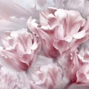 Large scale romantic pink tulip and peony floral wallpaper mural with soft petals.